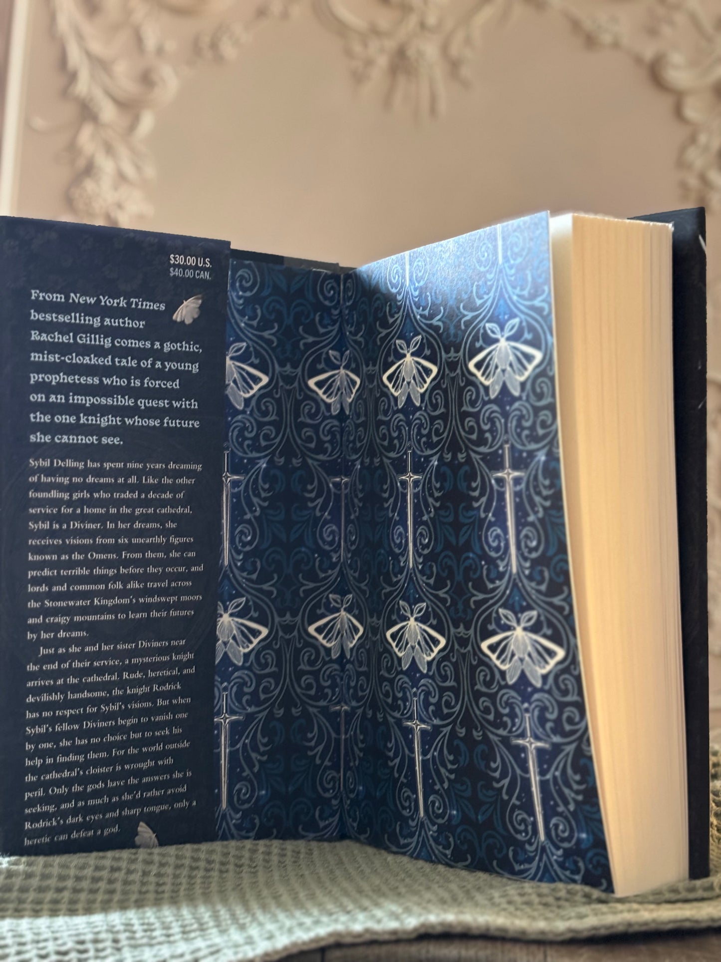 The Knight and the Moth by Rachel Gillig