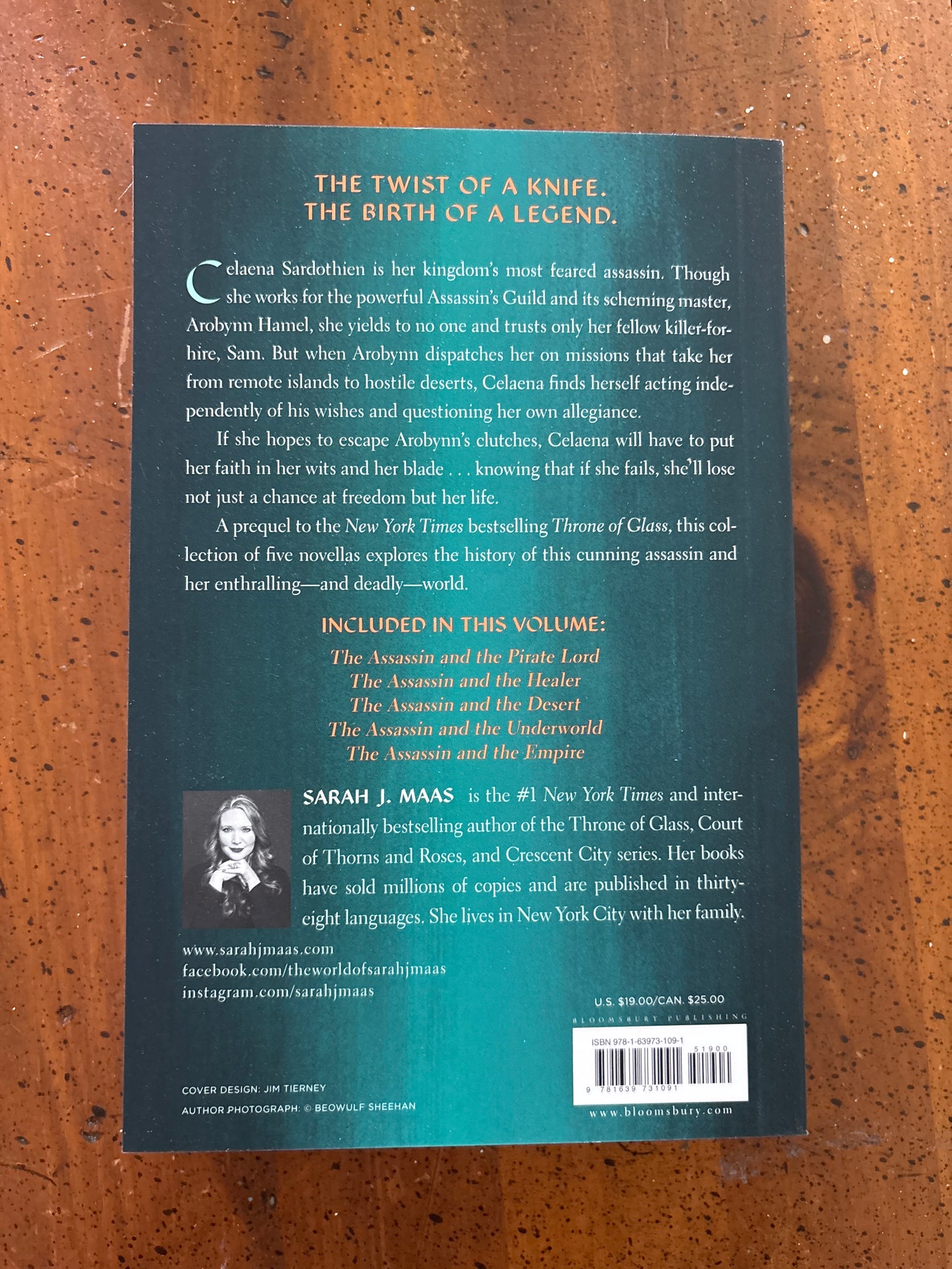 The Assassins Blade by Sarah J Maas