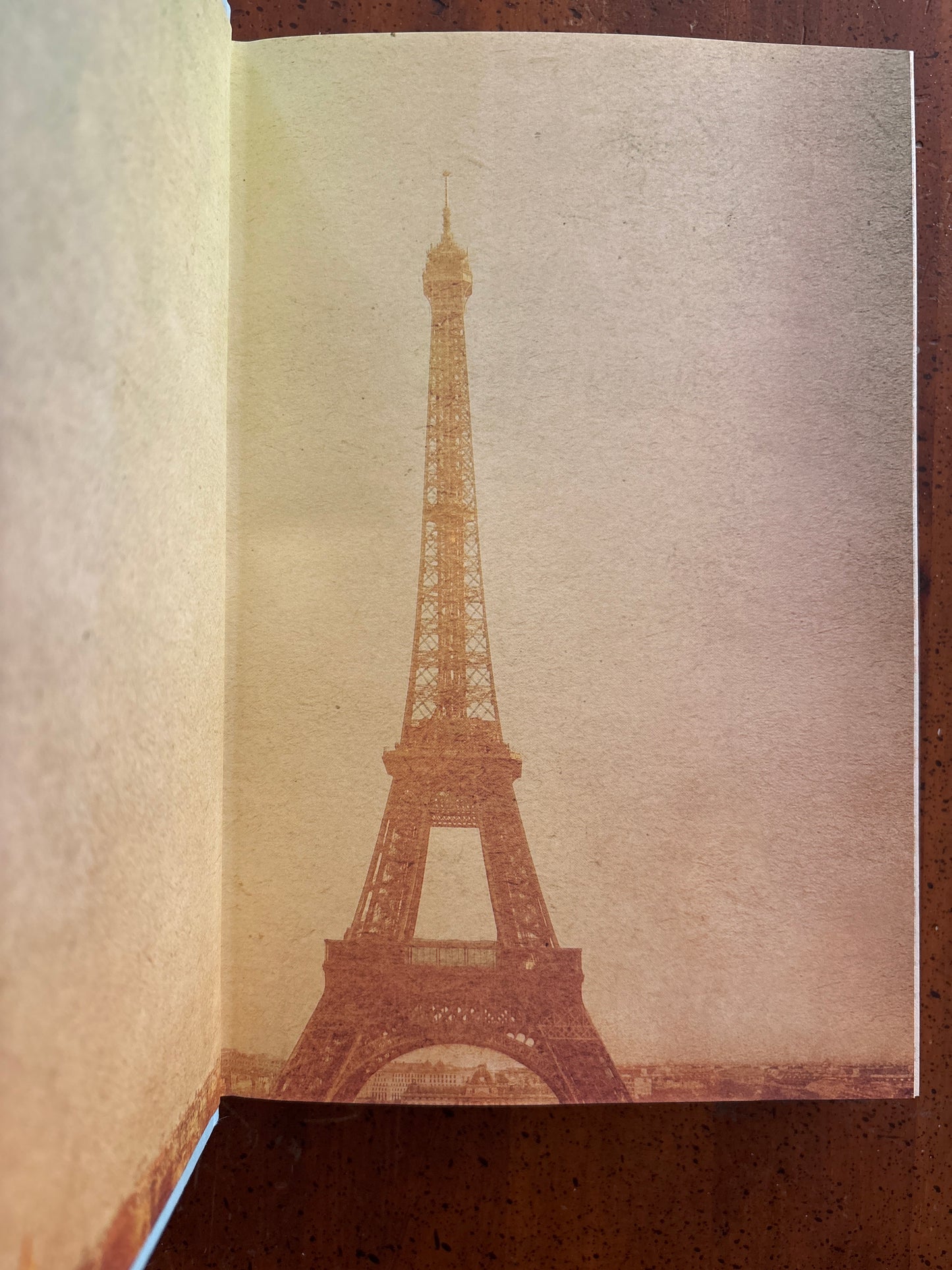 The Nightingale by Kristin Hannah