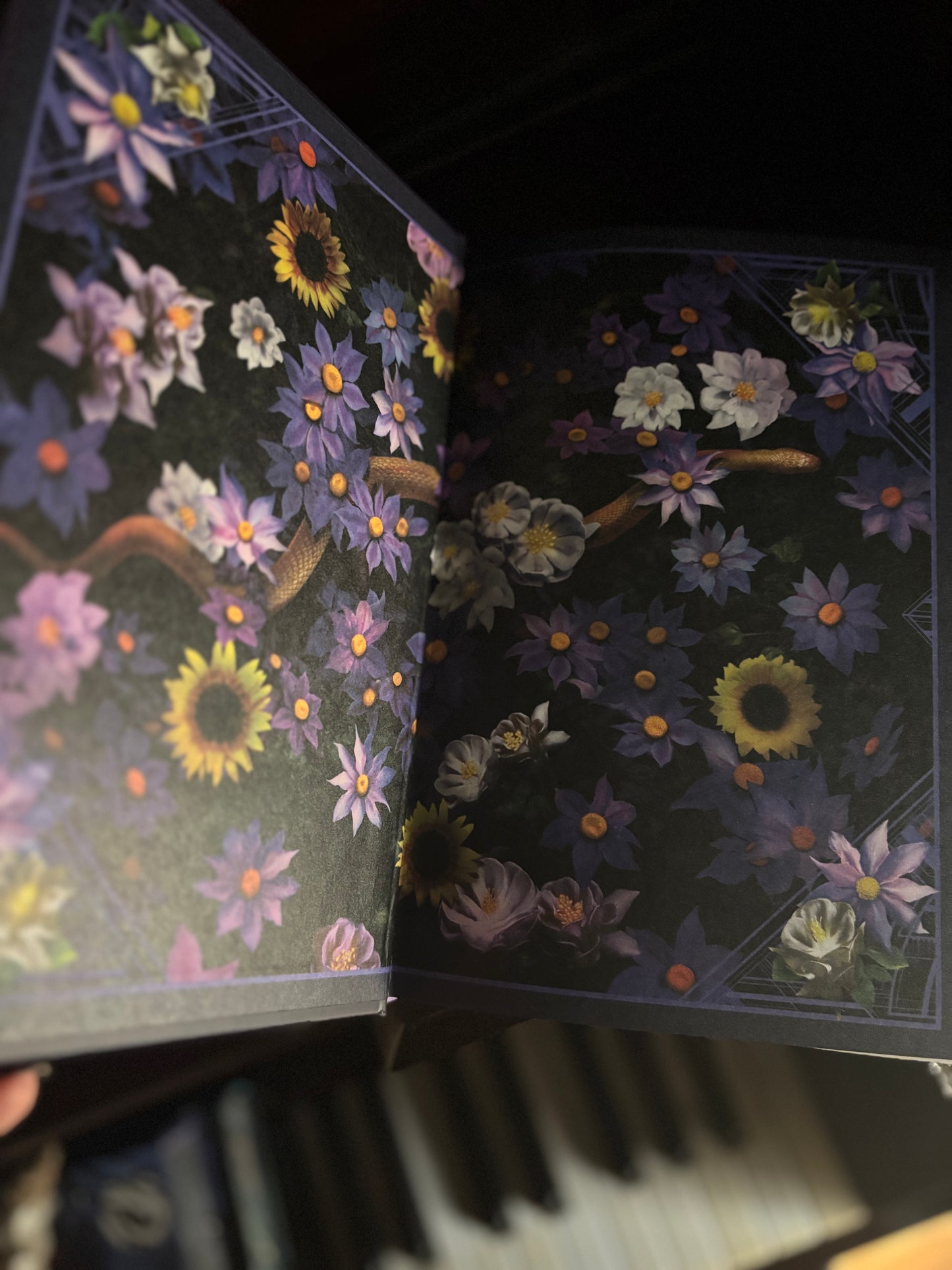 Sunrise on the Reaping by Suzanne Collins