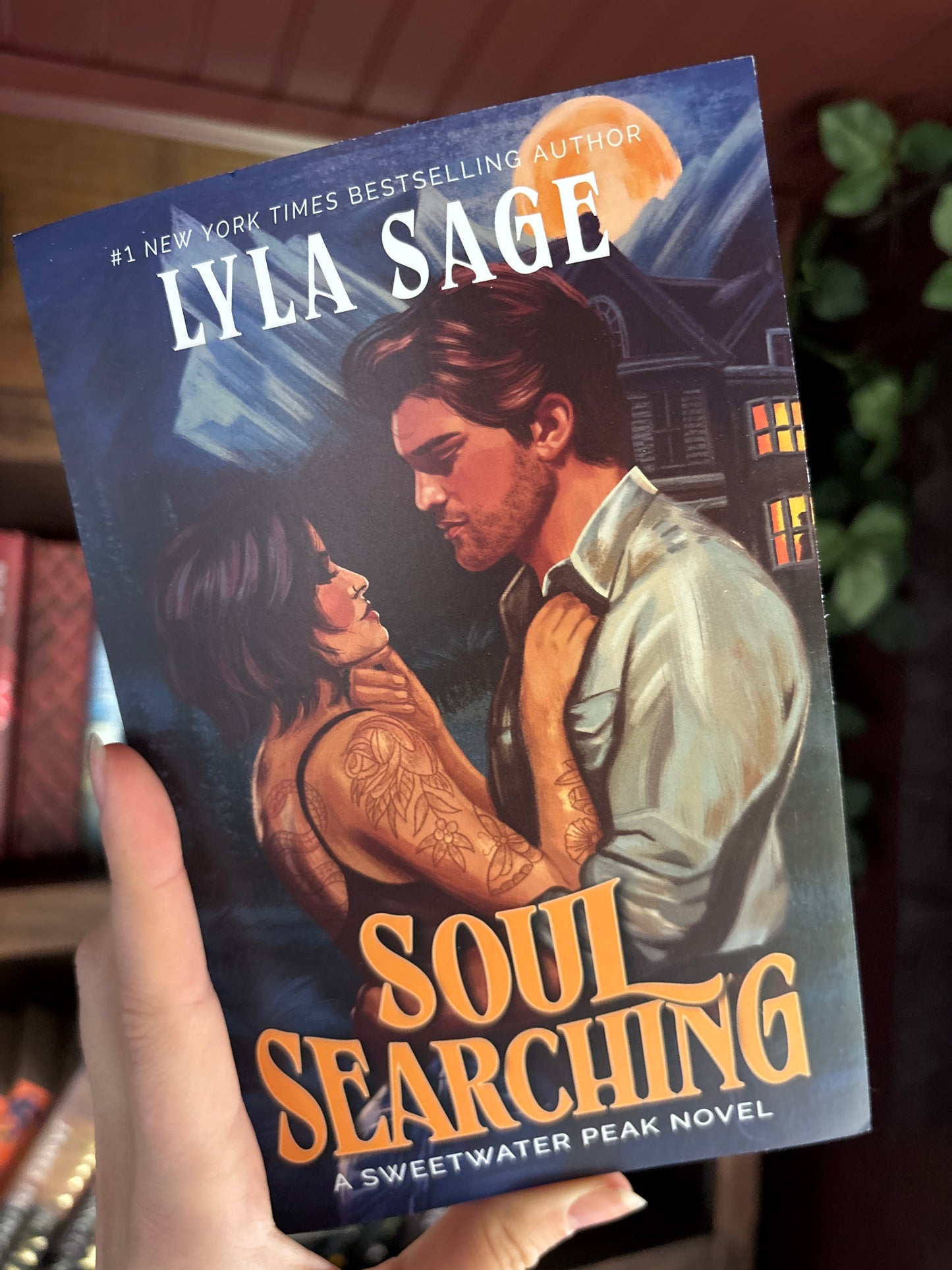 Soul Searching by Lyla Sage