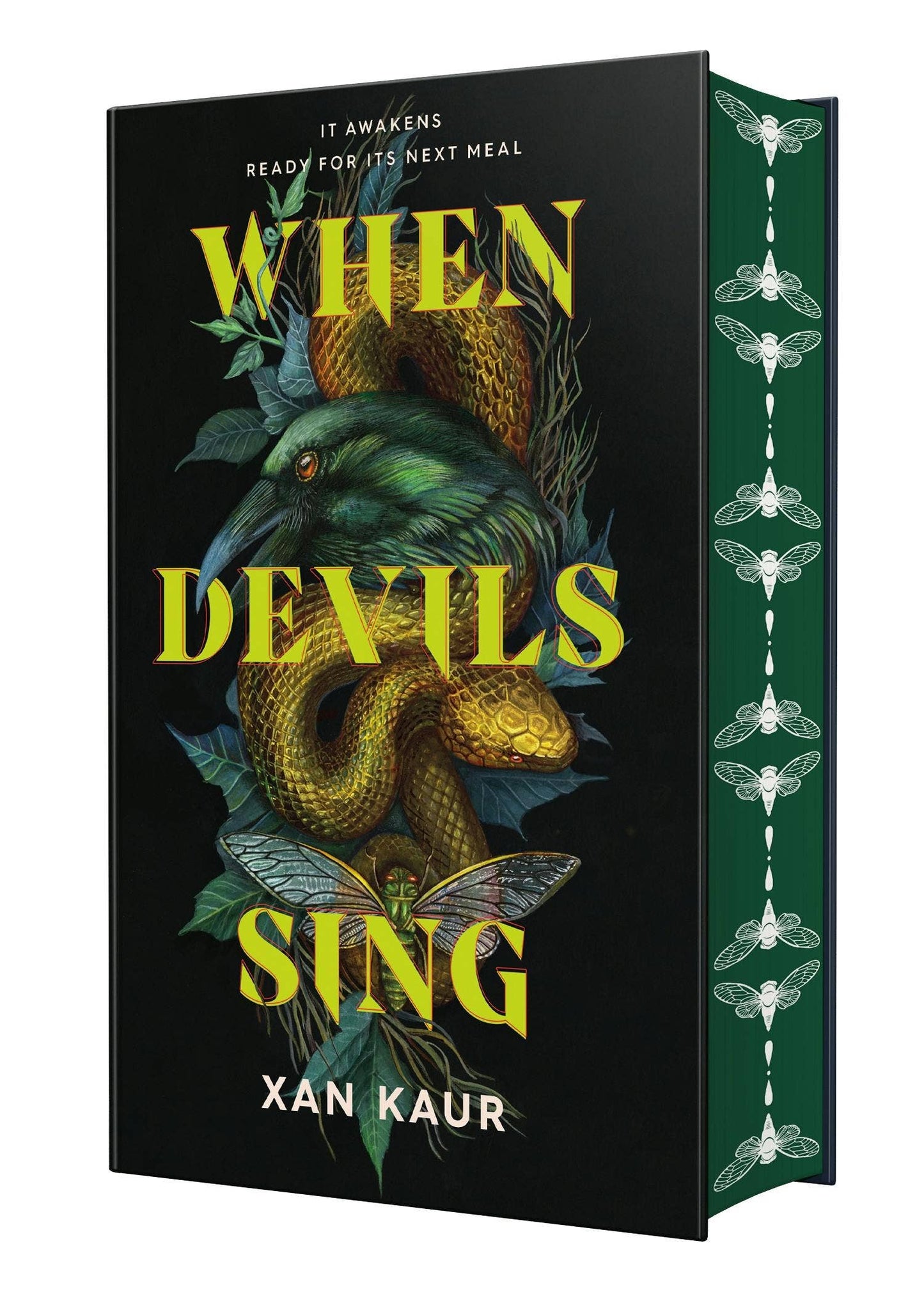 When Devils Sing-Stenciled Deluxe Edition by Xan Kaur