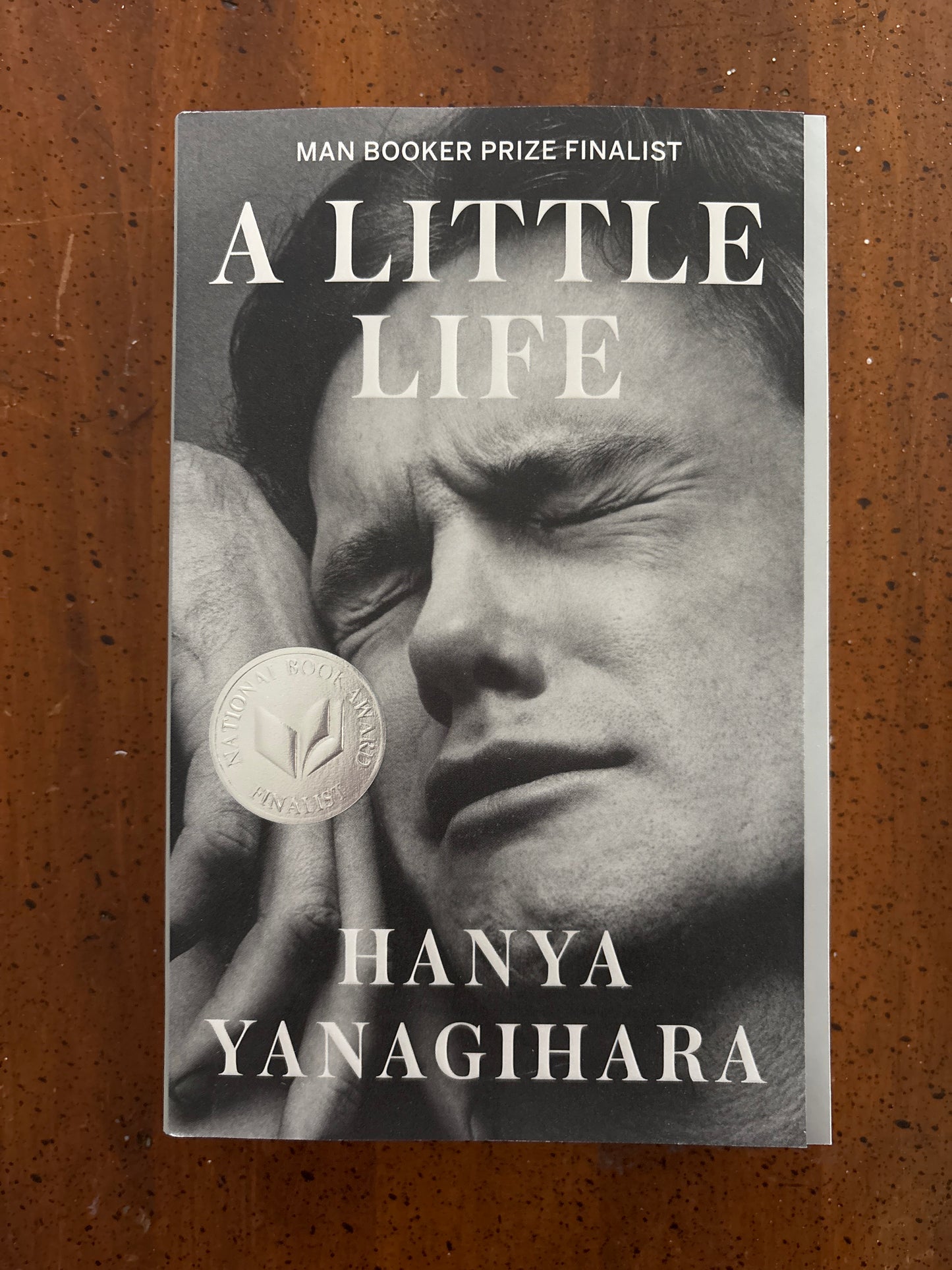 A Little Life by Hanna Yanagihara