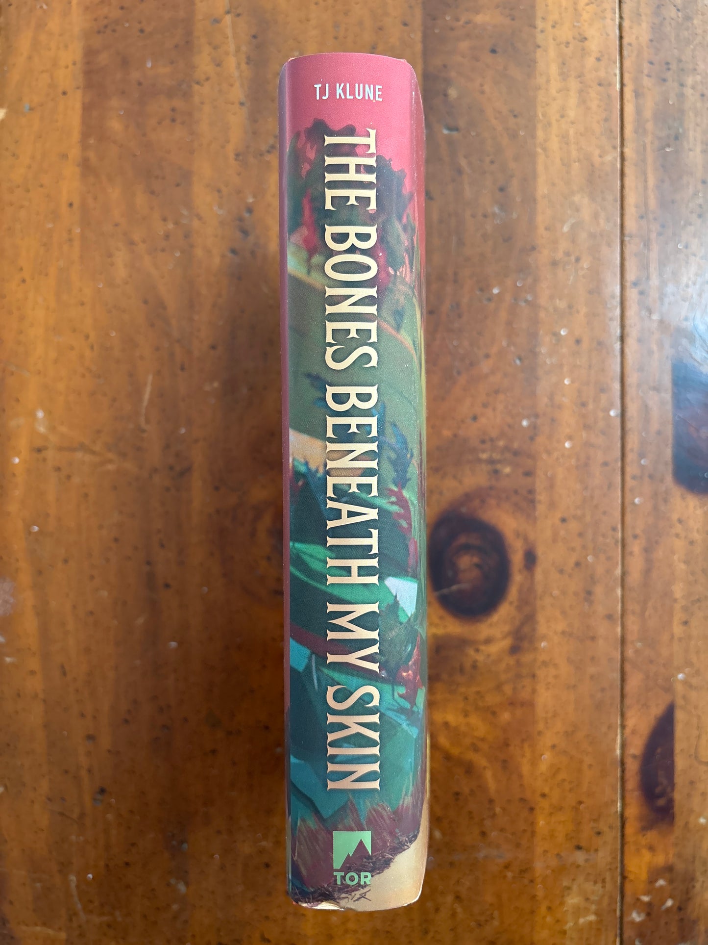 The Bones Beneath my Skin by TJ Klune