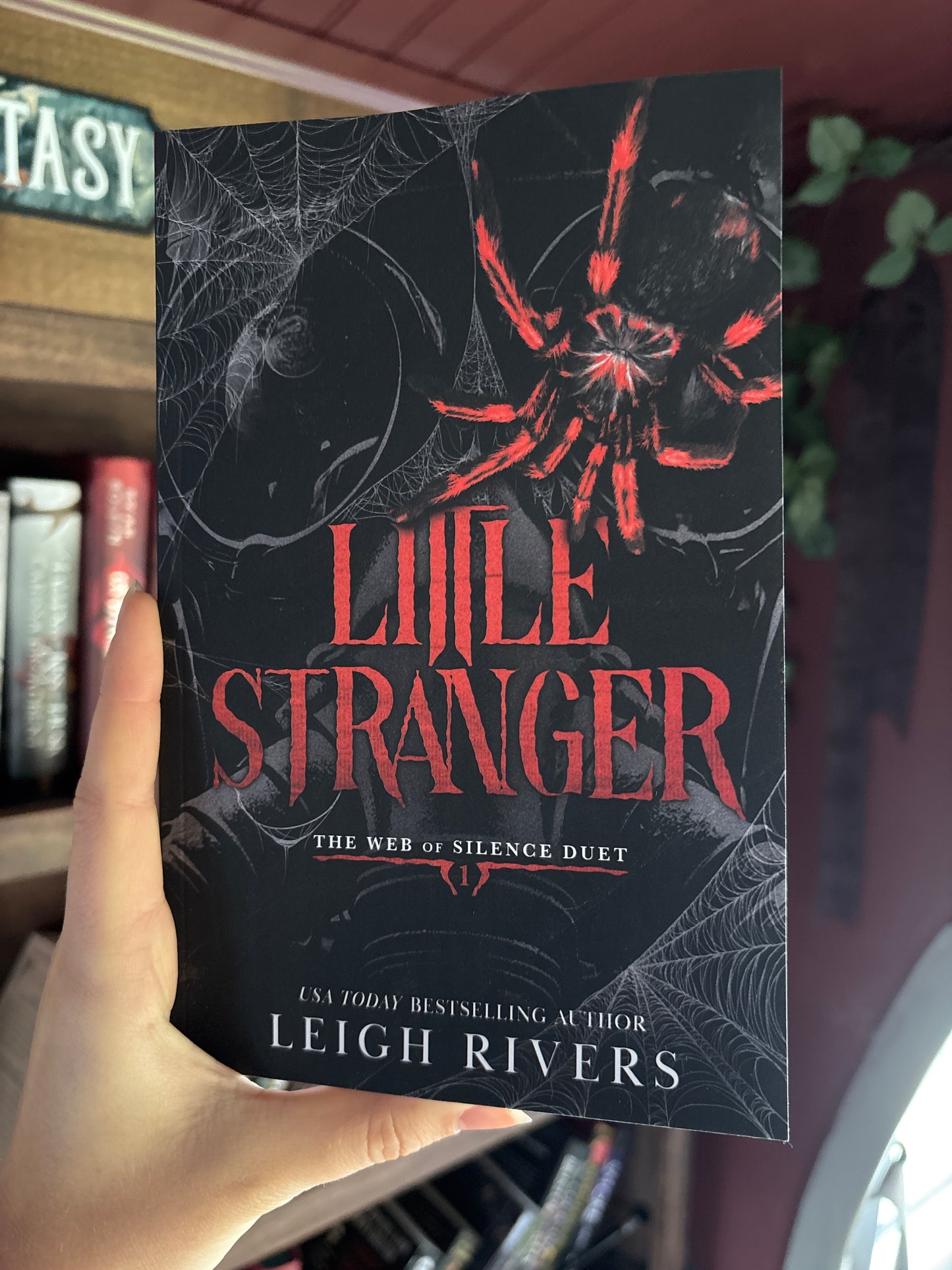 Little Stranger by Leigh Rivers