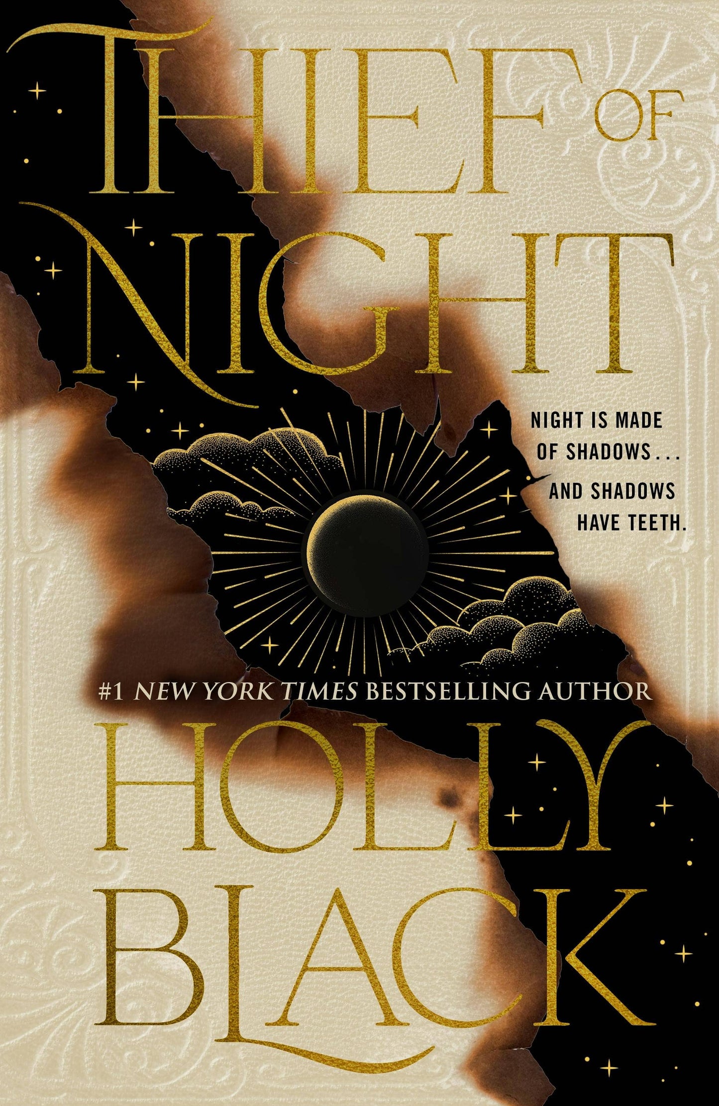 Thief Of Night (book 2) by Holly Black