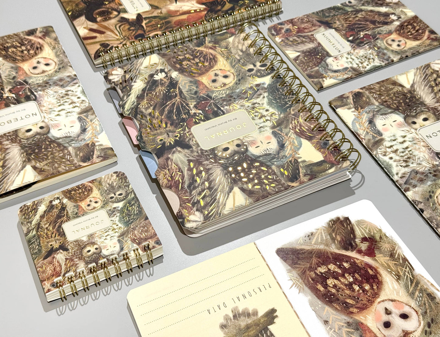 BV by Bruno Visconti - A6 Passport Notebook -Notebook Owls