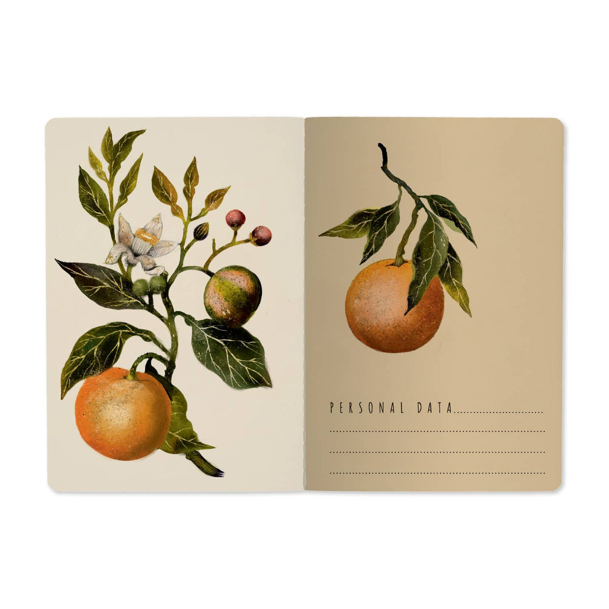BV by Bruno Visconti - A5 Notebook -  Oranges and Blossoms