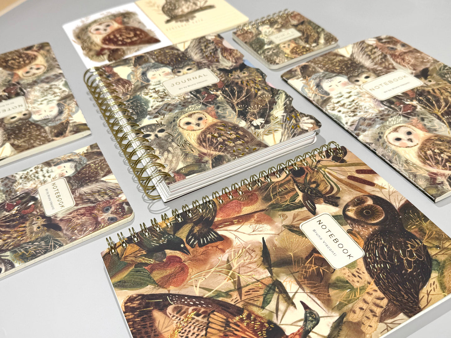 BV by Bruno Visconti - A6 Passport Notebook -Notebook Owls