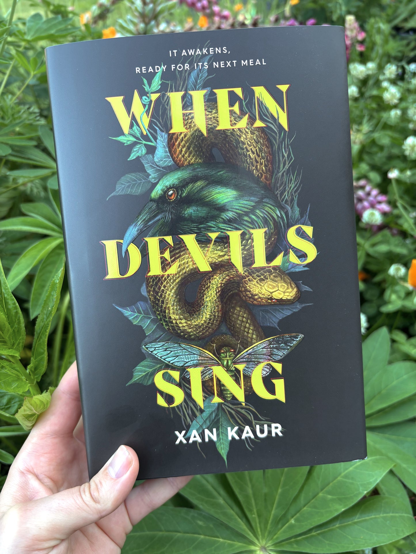 When Devils Sing by Xan Kaur