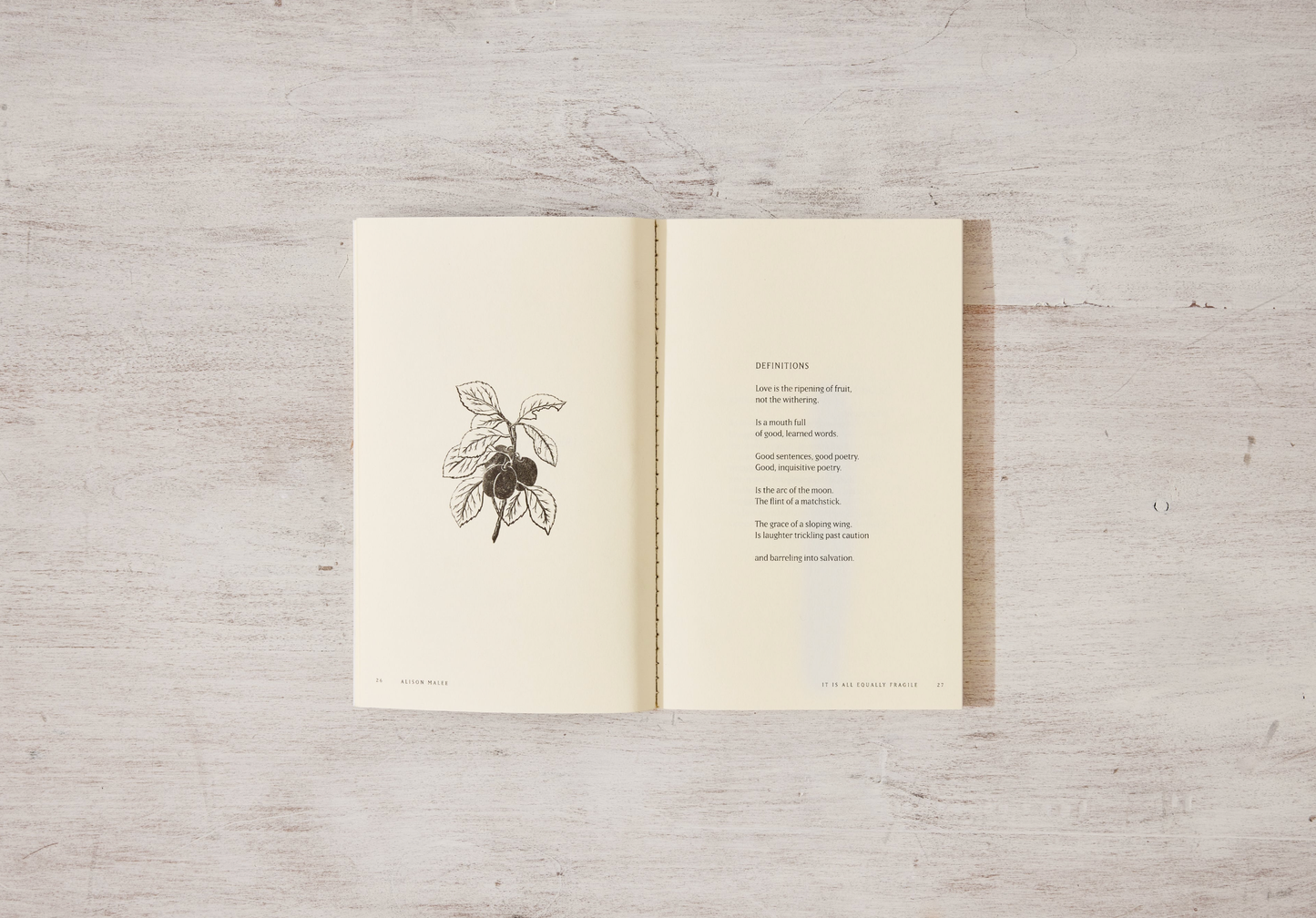 It Is All Equally Fragile - poetry book by Alison Malee