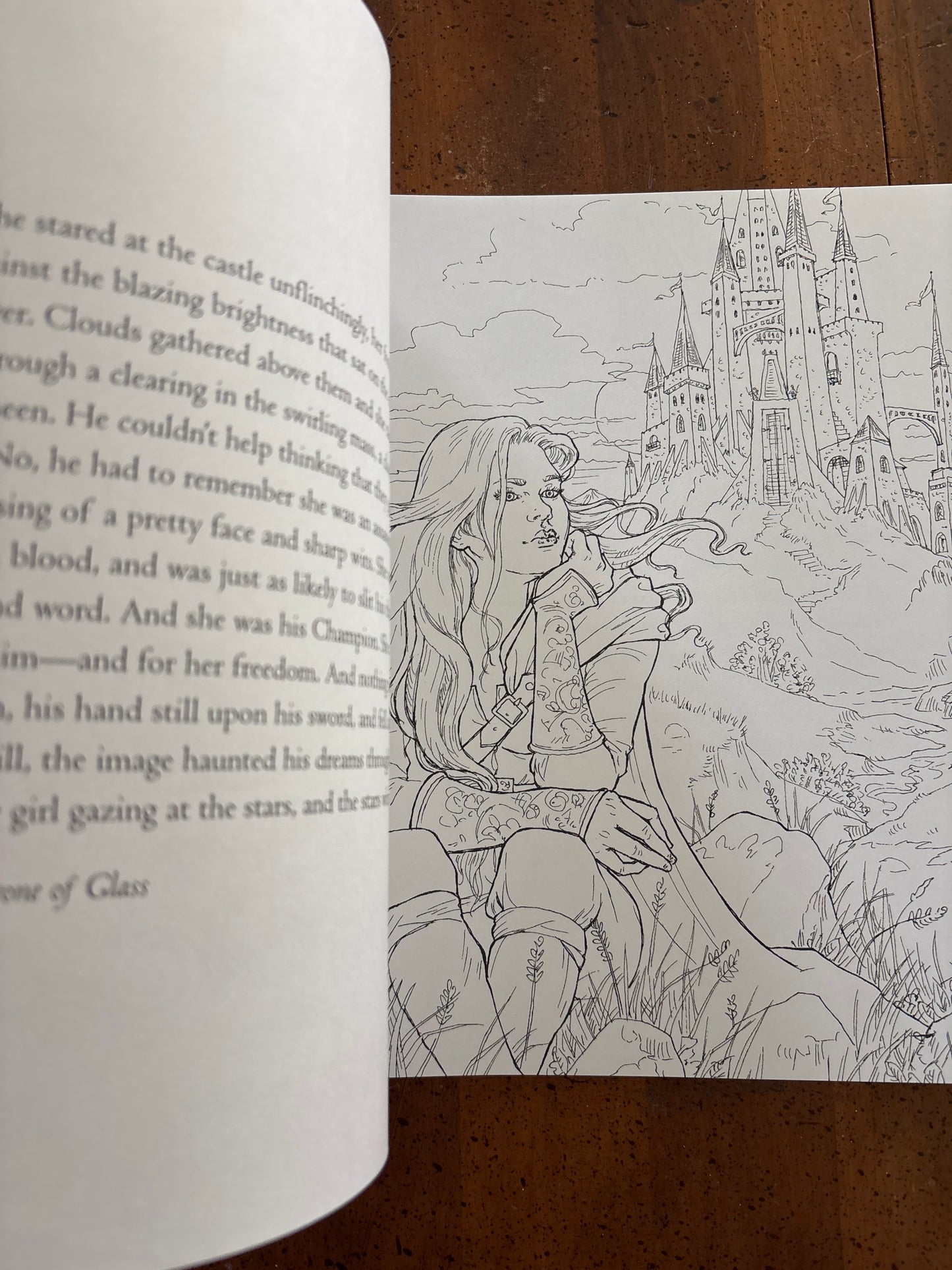 The Throne of Glass Coloring Book