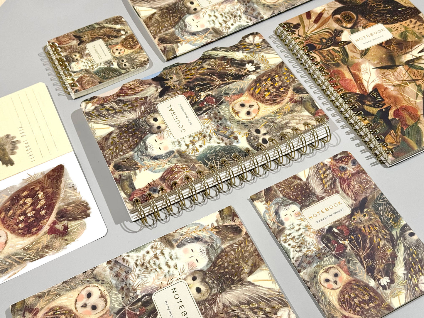 BV by Bruno Visconti - A6 Passport Notebook -Notebook Owls
