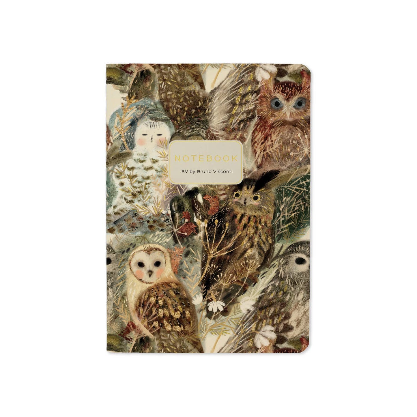 BV by Bruno Visconti - A6 Passport Notebook -Notebook Owls