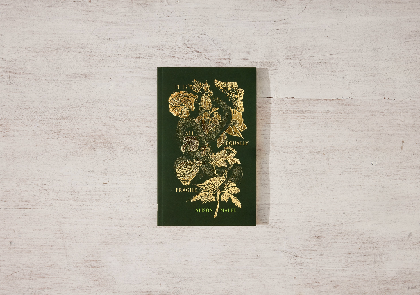 It Is All Equally Fragile - poetry book by Alison Malee