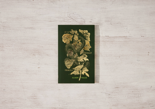 It Is All Equally Fragile - poetry book by Alison Malee