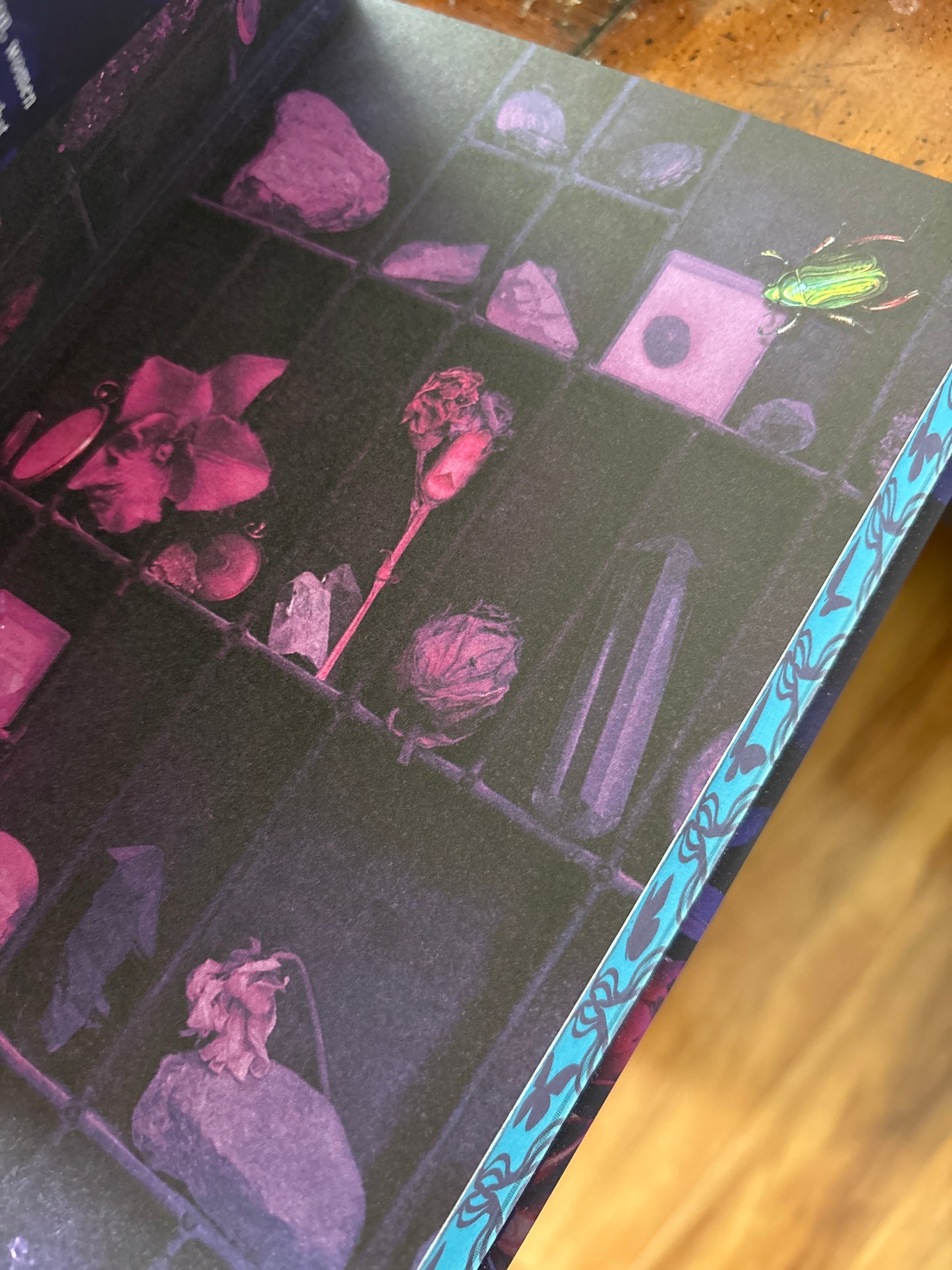 The Lost Apothecary by Sarah Penner