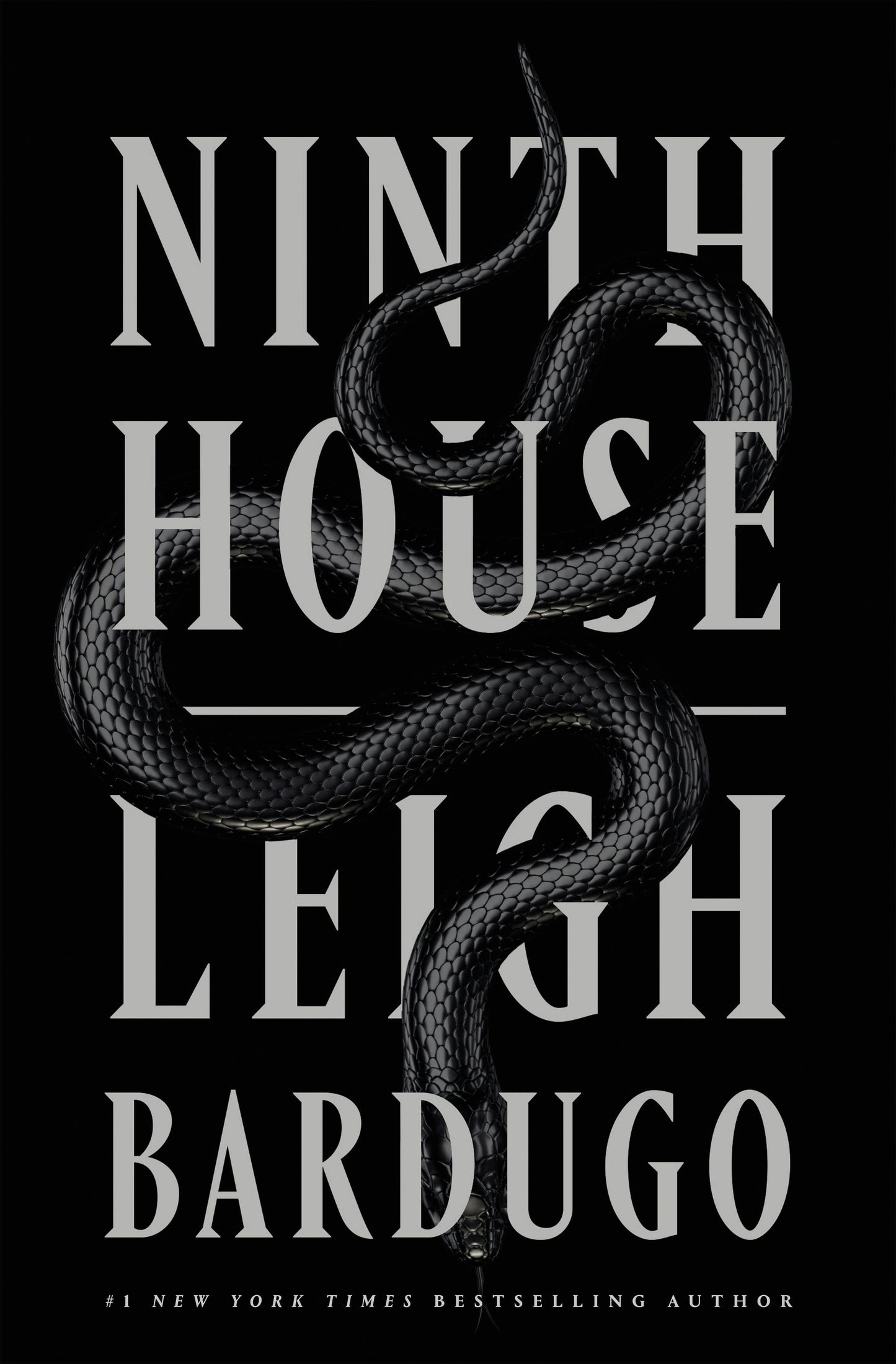 Ninth House (book 1) by Leigh Bardugo
