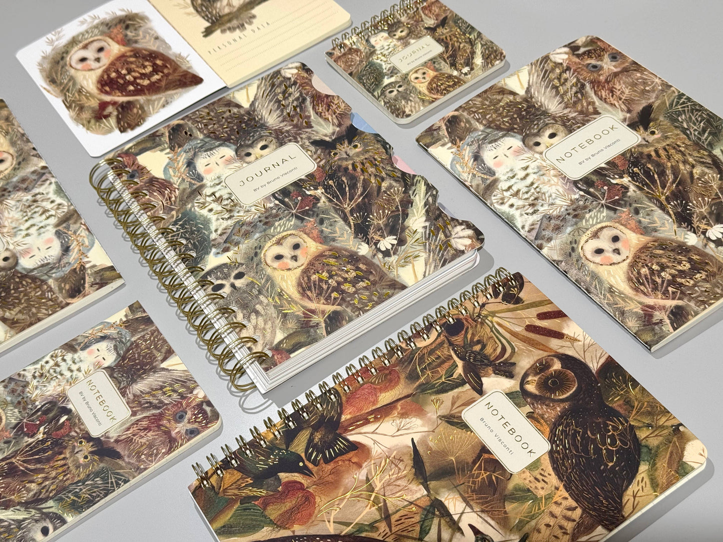 BV by Bruno Visconti - A6 Passport Notebook -Notebook Owls