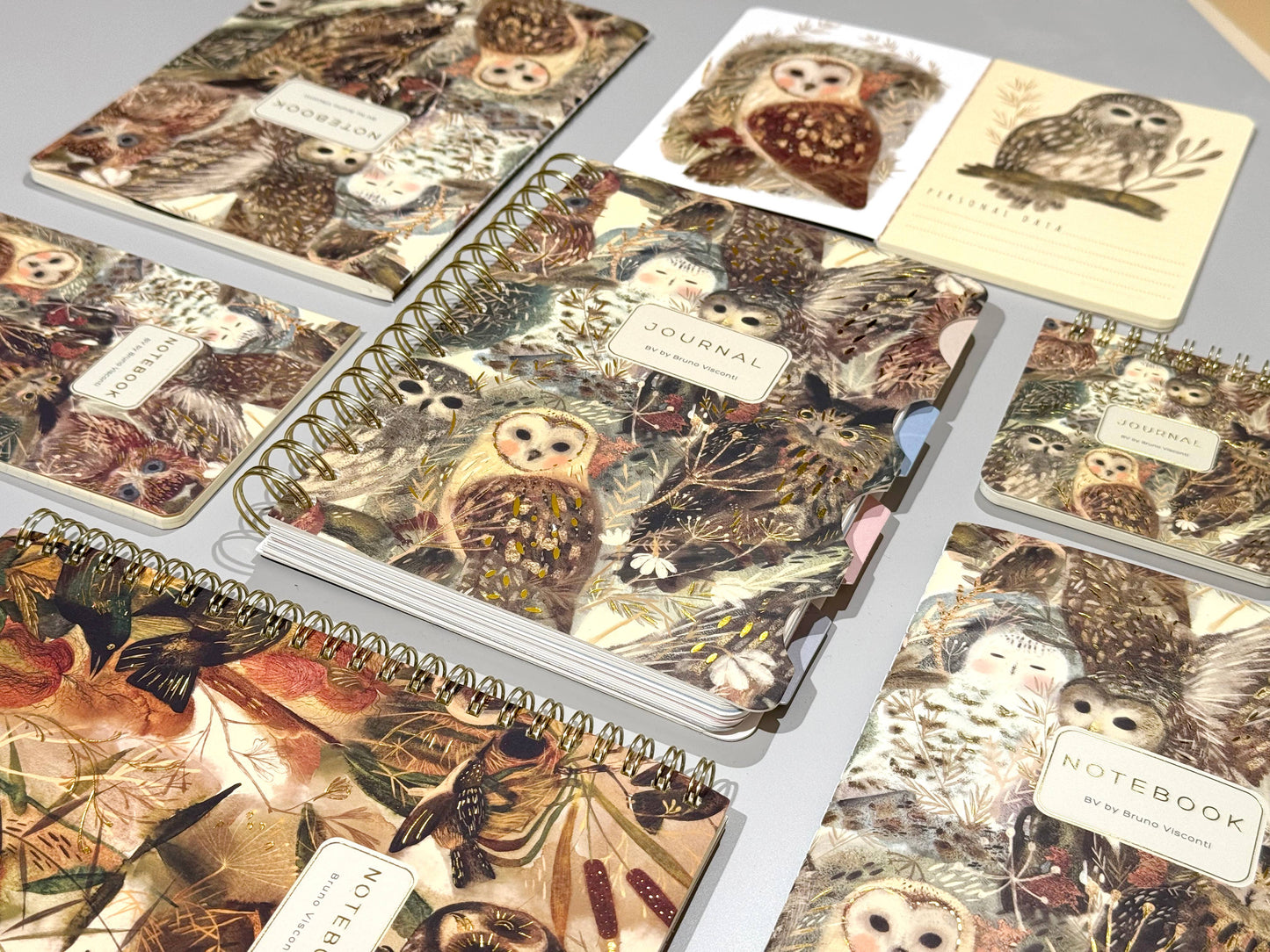 BV by Bruno Visconti - A6 Passport Notebook -Notebook Owls