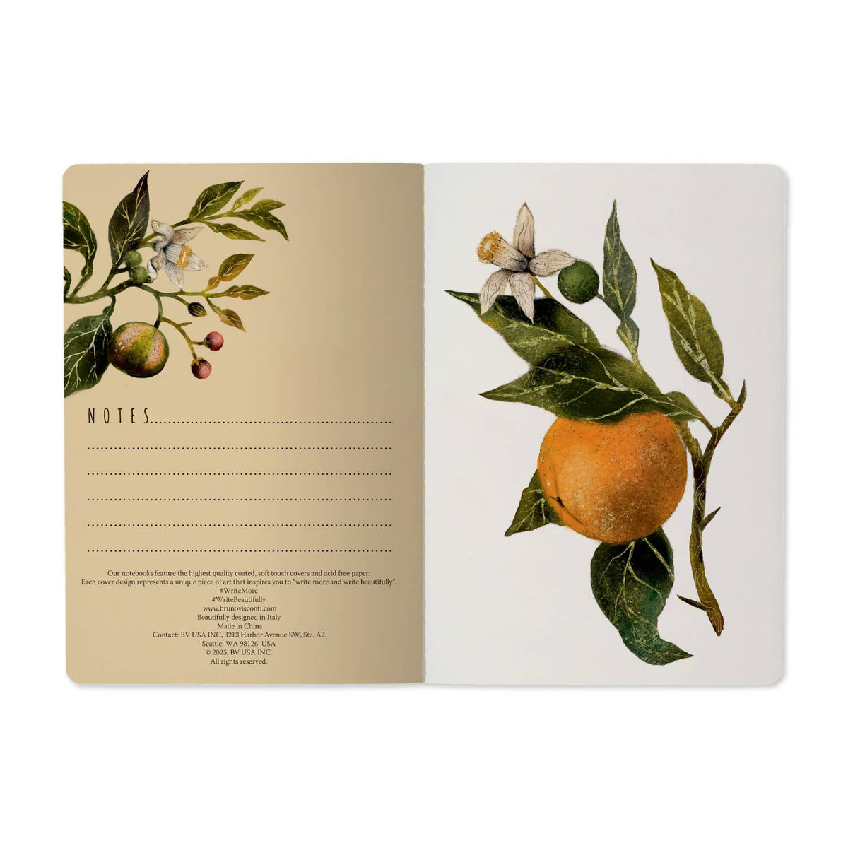 BV by Bruno Visconti - A5 Notebook -  Oranges and Blossoms