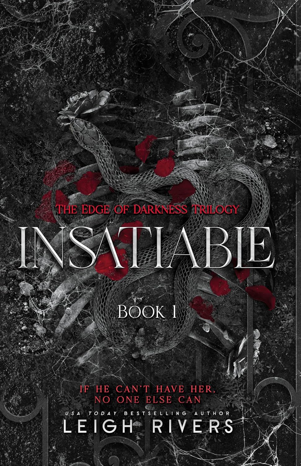 Insatiable: The Edge of Darkness Trilogy (book 1) by Leigh Rivers