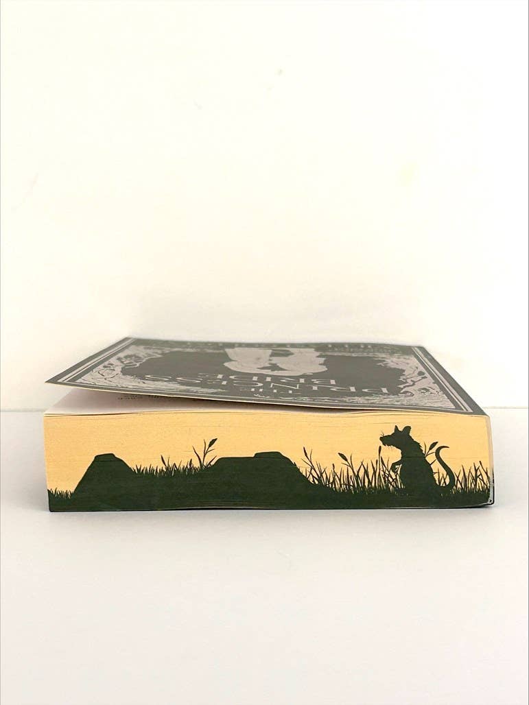 HarperCollins - Princess Bride Deluxe Limited Edition, The : William Goldman