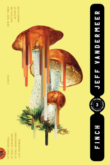 Finch by Jeff Vandermeer (Ambergris Trilogy #3)