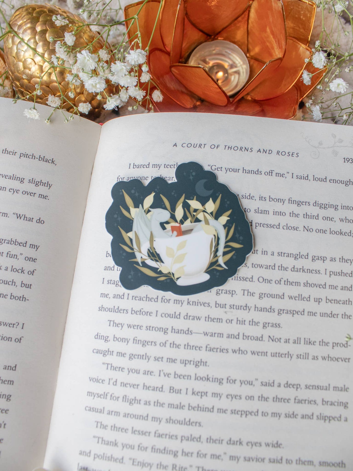 Meaggie Moos - Book Dragon in a Tea Cup Waterproof Vinyl Sticker