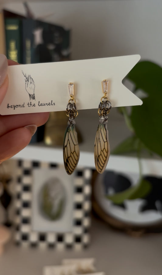 Earrings 16
