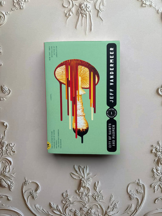 City of Saints and Madmen by Jeff Vandermeer (book 1)