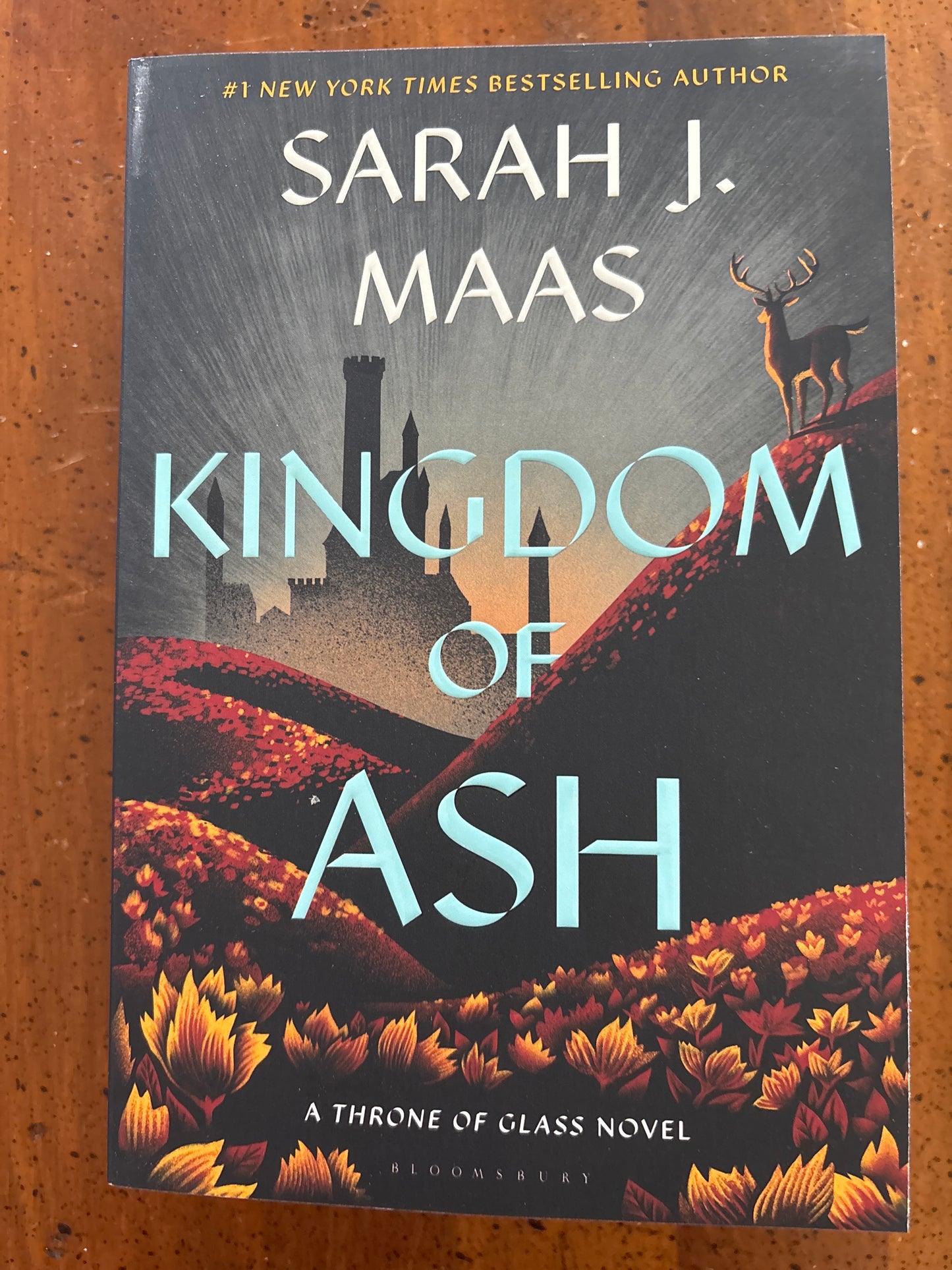 Kingdom of Ash by Sarah J. Maas