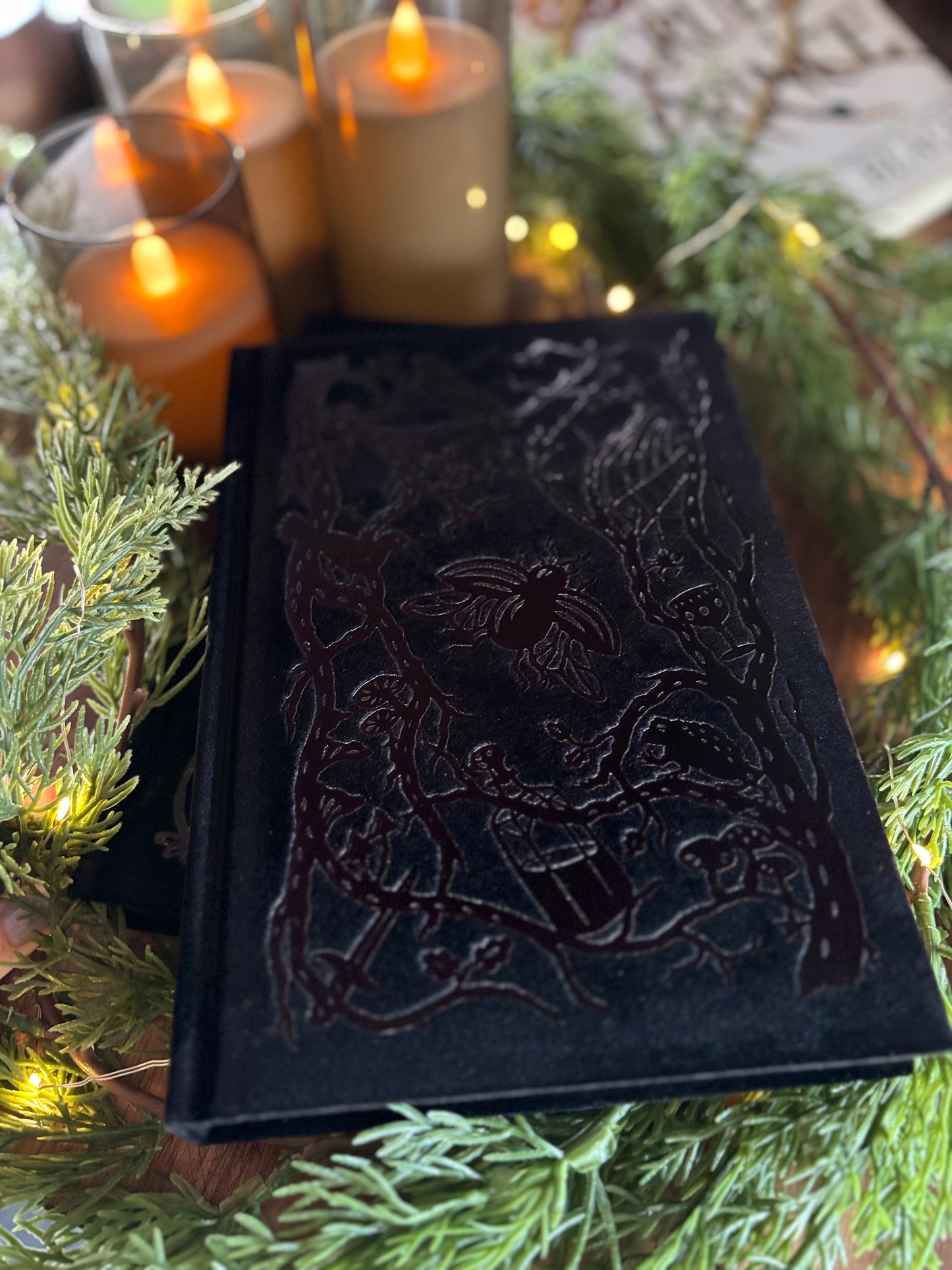 The Cruel Prince Collectors Edition by Holly Black
