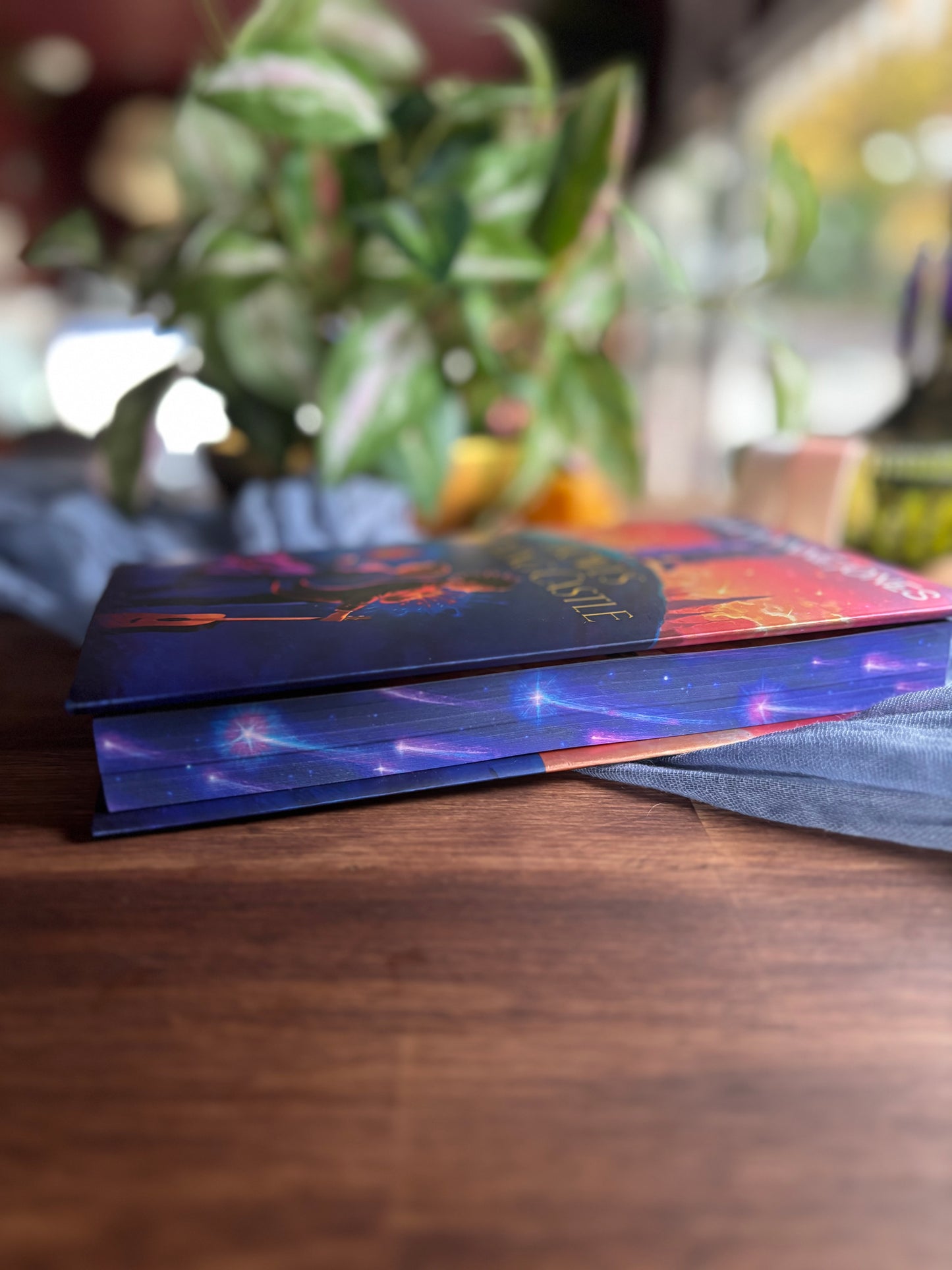 Howls Moving Castle - Deluxe Limited Edition by Diana Wynne Jones