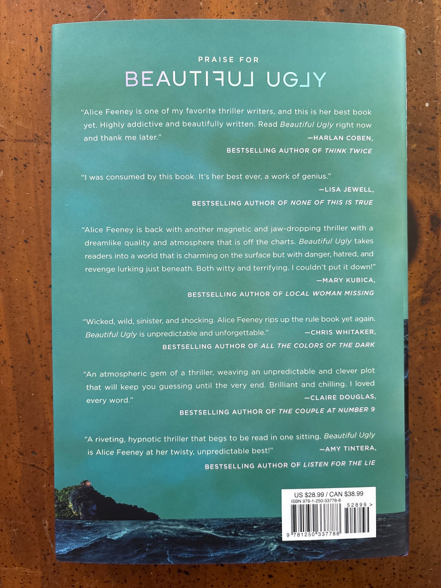 Beautiful Ugly by Alice Feenney