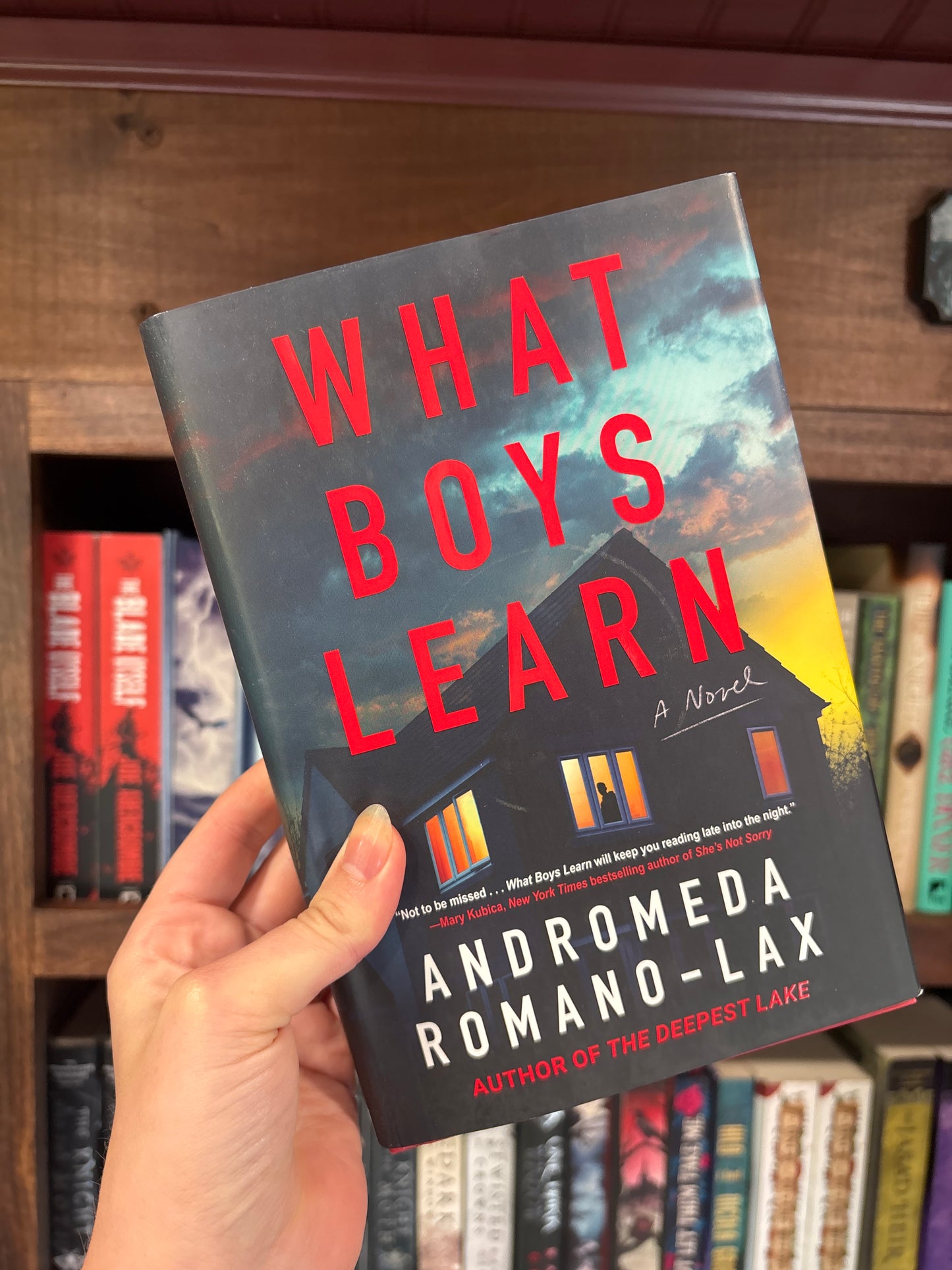What Boys Learn by Andromeda Romano-Lac