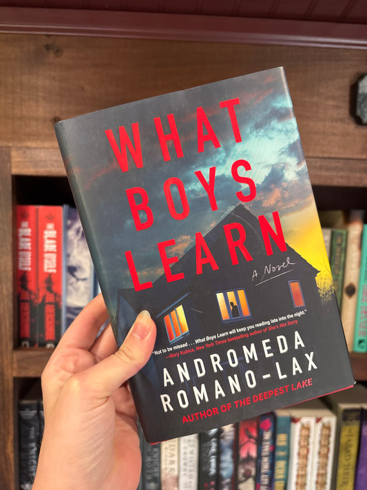 What Boys Learn by Andromeda Romano-Lac
