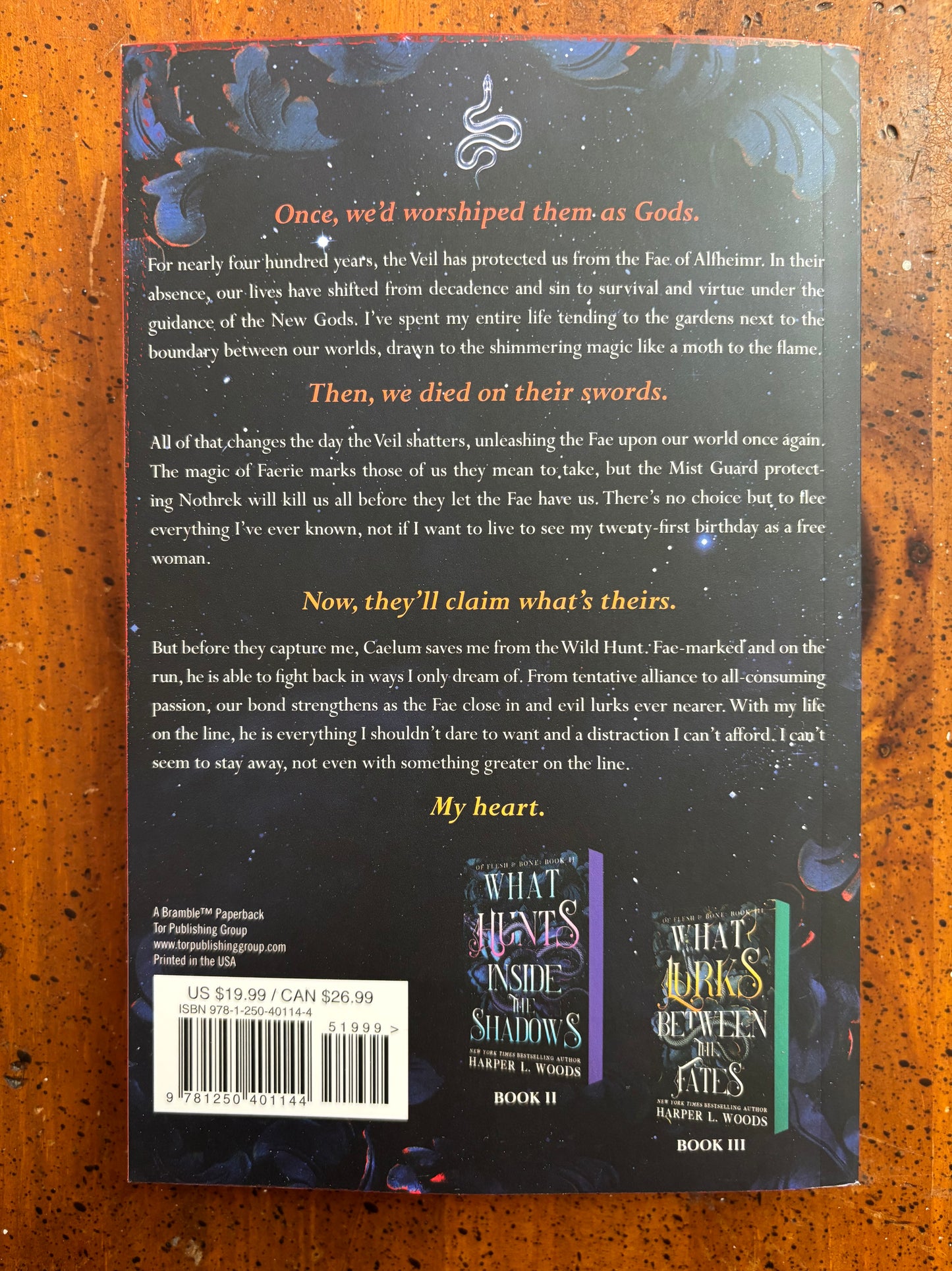 What Lies Beyond the Veil by Harper L Woods