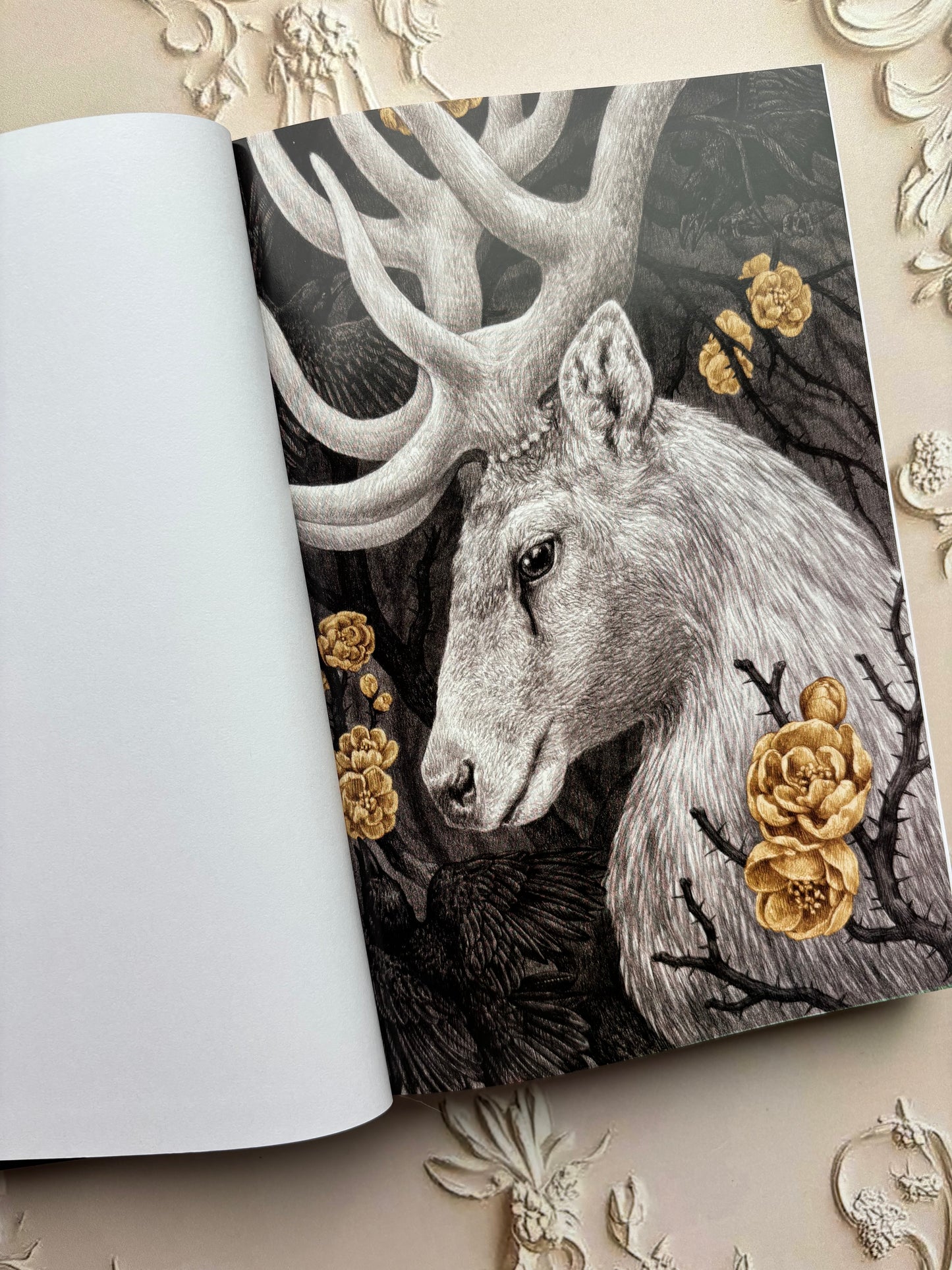 Shadow And Bone: The Collector's Edition