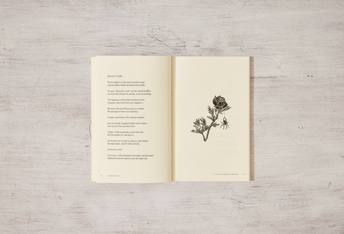 It Is All Equally Fragile - poetry book by Alison Malee