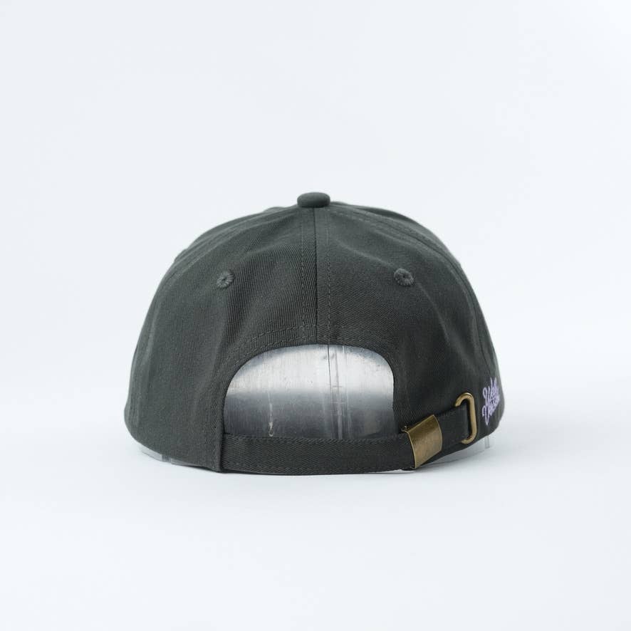 Need Money for Books 📚 Bookish Dad Hat