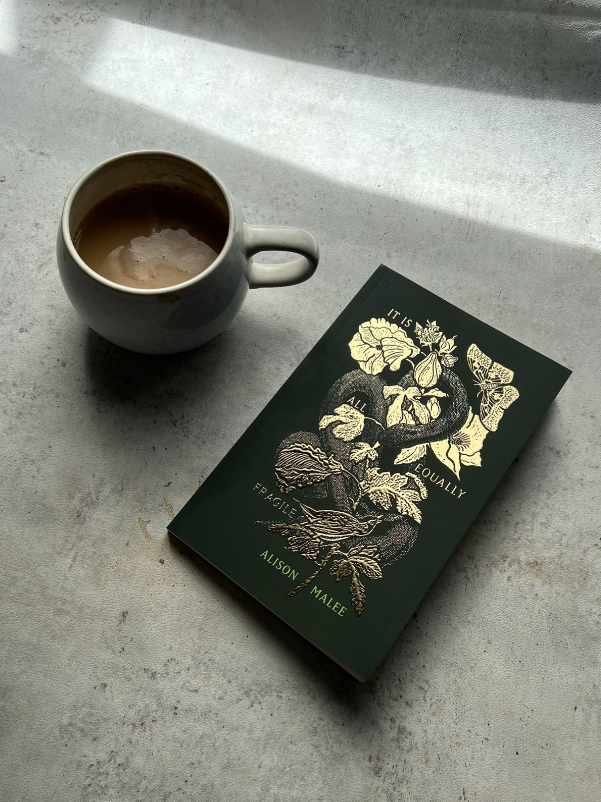 It Is All Equally Fragile - poetry book by Alison Malee