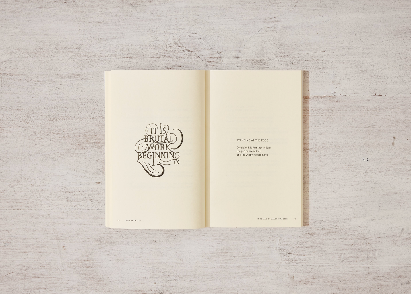 It Is All Equally Fragile - poetry book by Alison Malee